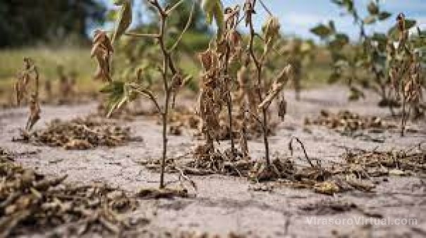Comisión de Emergencia Agropecuaria: suman a sociedades rurales y productores