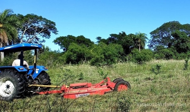 Plan Limón: se concretaron visitas técnicas y desmalezados en lotes de Ramada Paso y Saladas