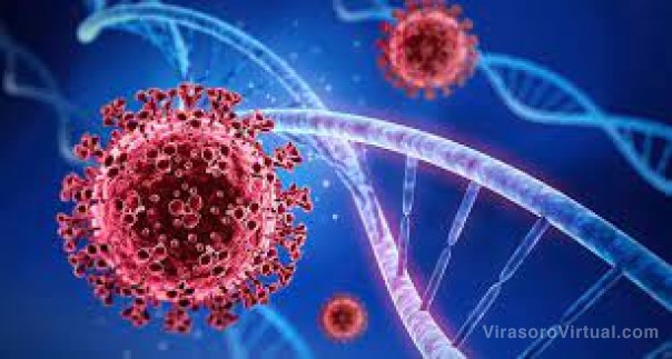 Corrientes registra 1302 casos nuevos de Coronavirus: 930 en Capital y 372 en el interior
