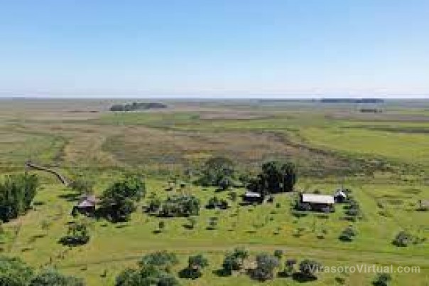 Donaron $130.000 para la restauración ecológica de una reserva natural privada en el Iberá