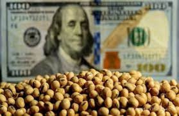Fuerte rechazo del campo a un nuevo dólar agro que analiza el Gobierno nacional