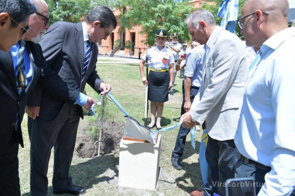 En la plaza 25 de Mayo plantaron un nieto del pino histórico de San Lorenzo