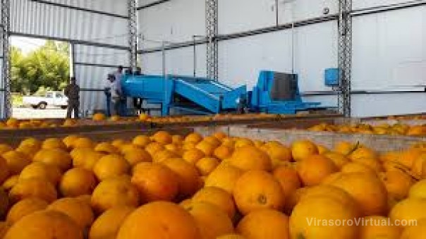La agroindustria es el sector que sigue movilizando la economía argentina