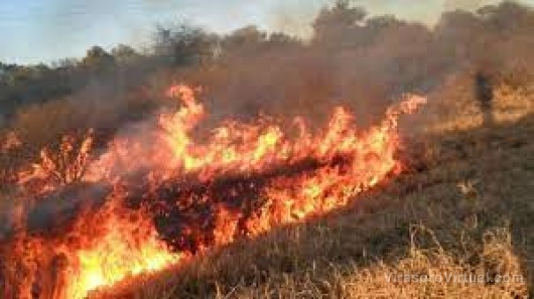 Rige un alerta por incendios en varias localidades entre ellas Virasoro.