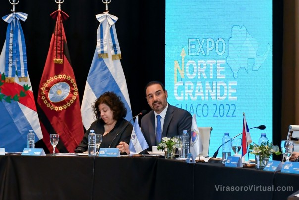 Valdés insistió con las tarifas diferenciales de energía para las provincias norteñas y otras políticas