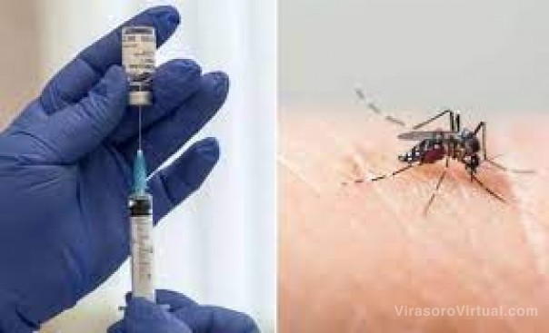 Anmat aprobó la vacuna japonesa contra el dengue