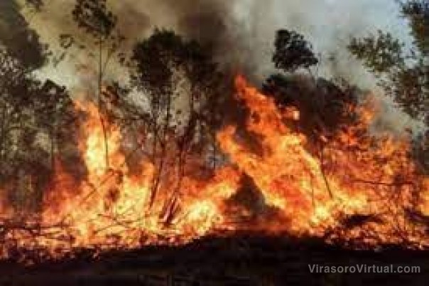 Corrientes prohíbe todo tipo de quemas por la sequía y piden extremar cuidados