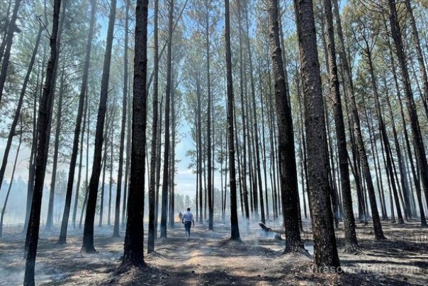 Incendio