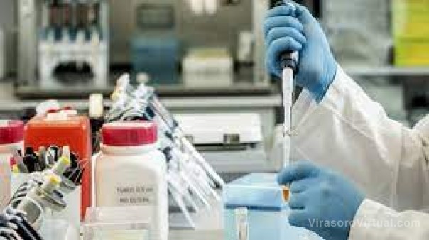 Una revista internacional publicó un estudio sobre suero equino en Corrientes