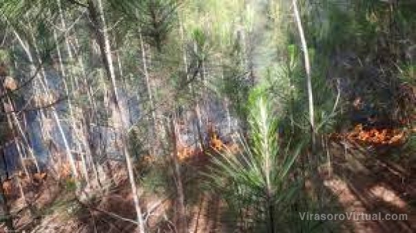 Continúa la vigilancia en el Iberá por el foco ígneo en una zona inaccesible