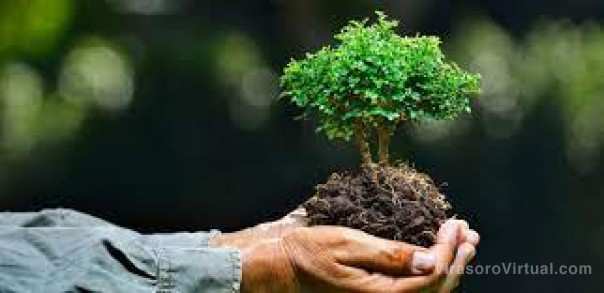 Concientización ambiental
