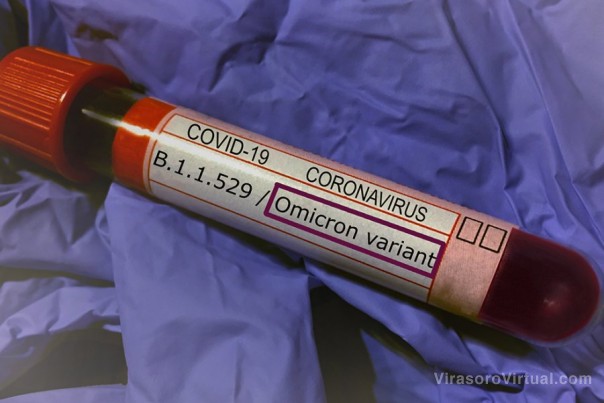 Covid-19: La variante omicron es mucho menos letal