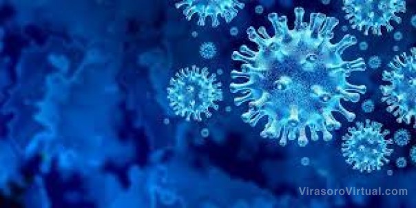 Corrientes registra 659 casos nuevos de Coronavirus: 240 en Capital y 419 en el Interior
