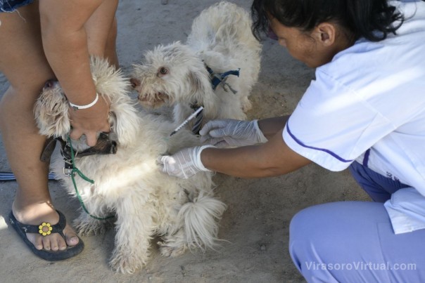 En abril, La Muni en tu barrio iniciará su recorrido en el barrio Doctor Montaña