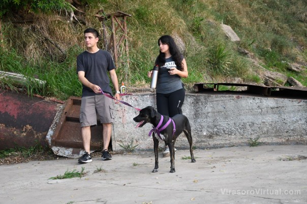 Comenzó el taller gratuito sobre adiestramiento canino