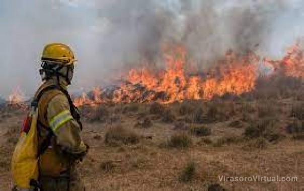 Llovió sobre un incendio que se desplazaba en el Iberá y analizan el impacto que tuvo