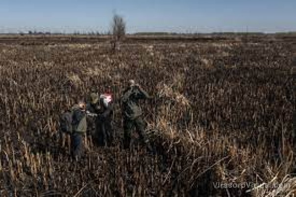 Buenos Aires implementa protocolos correntinos de evaluación ambiental