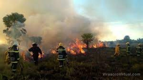 Alarmante: Corrientes detectó 12 focos de incendios
