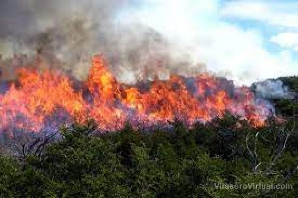 Defensa Civil realiza una serie de recomendaciones para evitar incendios forestales en Corrientes
