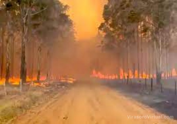 La Nasa registró más focos de incendios en las últimas dos semanas en Corrientes