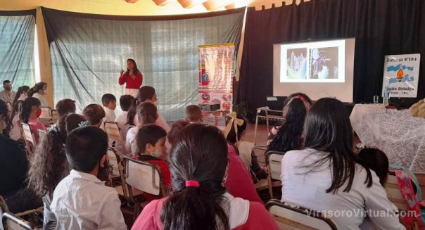 Salud continúa con actividades de prevención de la Fiebre Amarilla y la Rabia