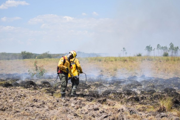 Intensos operativos en los focos de incendios