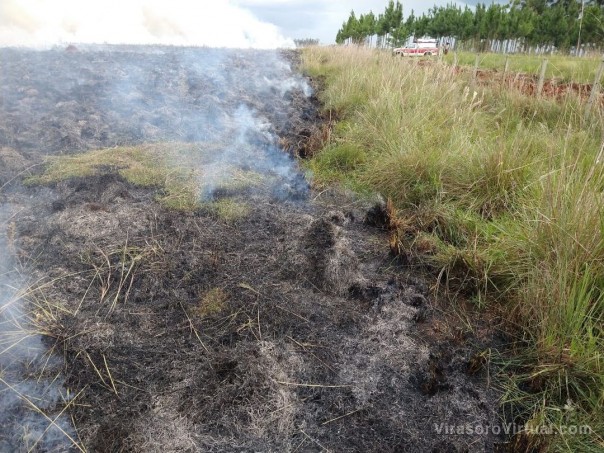 Incendio de pastizales en cercanías de la Universidad del Salvador