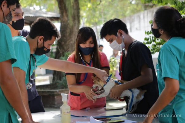 La UNNE monitoreará el impacto de la pandemia en actividades académicas