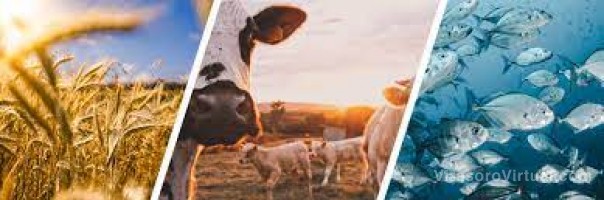 EL SECRETARIO DE AGRICULTURA, GANADERÍA Y PESCA RESUELVE LOS PRECIOS DE LA YERBA MATE