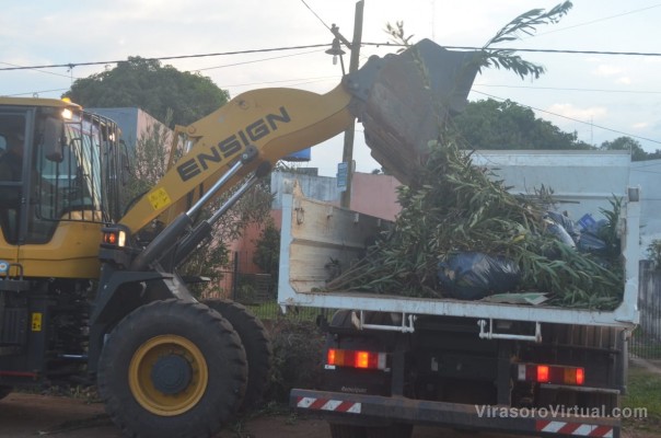 Tareas de recolección de ramas