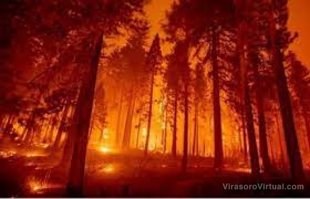 Alerta por el verano: instalarán cámaras en Corrientes para detectar incendios