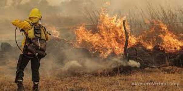 Fuego en Corrientes: continúan los incendios en la provincia y los equipos no dan abasto