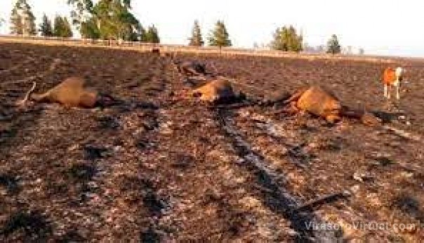 Afirman que el aporte del campo siempre fue muy fuerte y aguardan el apoyo del Estado