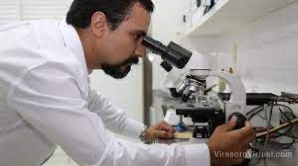 Tres investigaciones científicas del Nordeste revalidaron el conocimiento indígena