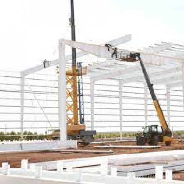 Foresto industria: avanzó un 20 % la mayor inversión en dólares en Corrientes