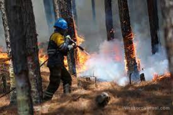 Ambiente reportó dos focos de incendios en Corrientes: uno continúa activo