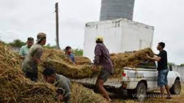 Repartieron el forraje donado por seis provincias a 900 productores de ganado