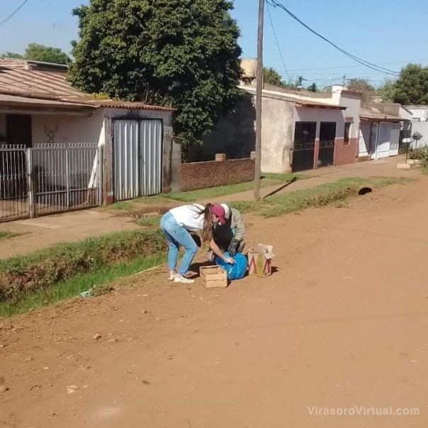 Campaña" Santo Tome no tira la basura , la separa"