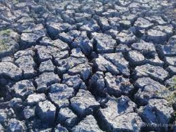Productores alertan por lagunas evaporadas y temen quedarse sin pasto para los animales