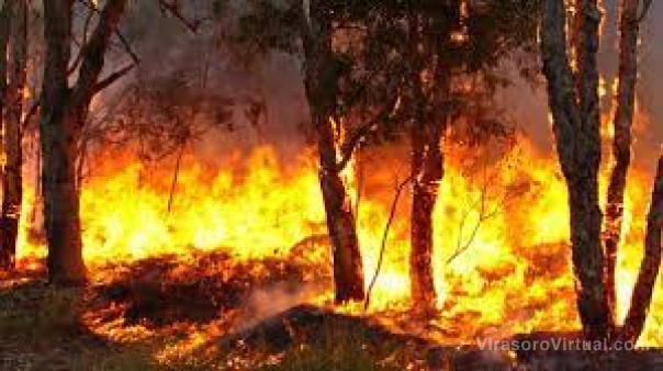 El Gobierno de Corrientes reclama extremar las medidas para evitar incendios forestales