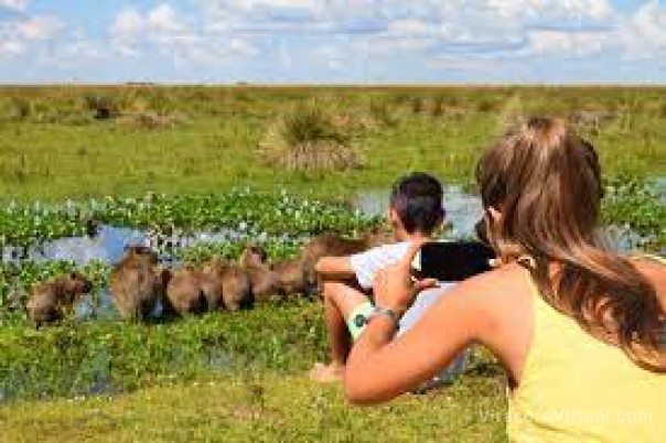 Anticipan ocupación plena en los Esteros del Iberá para las vacaciones de invierno