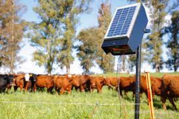 Presentan el programa Permer con la entrega de 380 boyeros solares