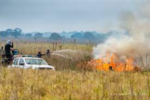 Iberá: hace más de 50 días que el fuego avanza y los animales se desplazan