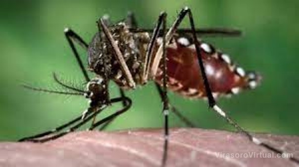Dengue: advierten por un “aumento sostenido de casos” en el país