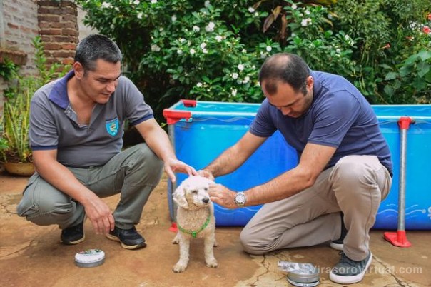 Los animales son amigos fieles y se merecen lo mejor