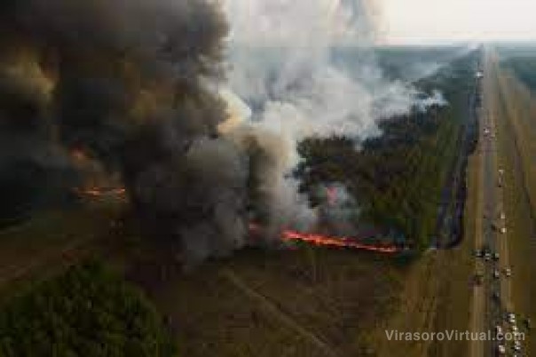 La catástrofe ambiental por los incendios de Corrientes llegó a Wikipedia