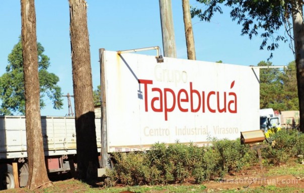 Desde Forestadora Tapebicuá resaltan la importancia que el Estado invierta en empresas de energías renovables