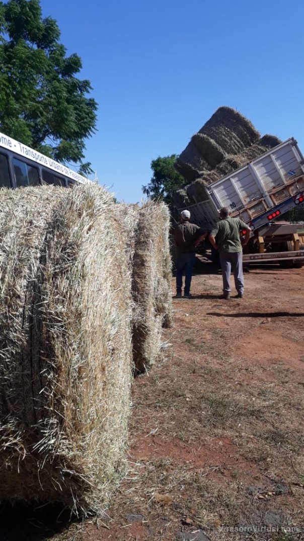 Asistencia Municipal a pequeños productores