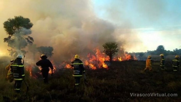 Nación creó una unidad de prevención de delitos ambientales