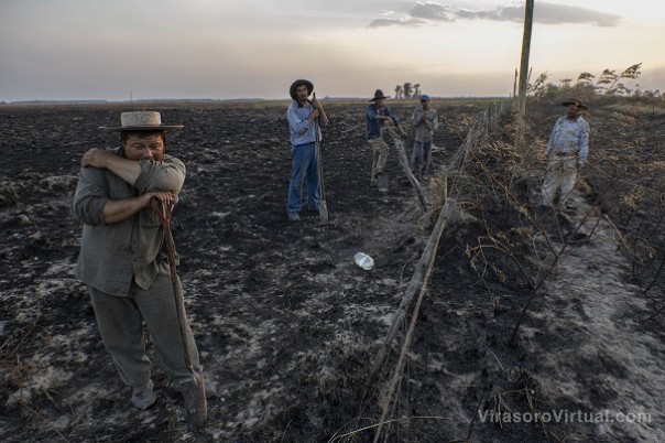 La soledad de un productor frente al incendio en Corrientes: "Da una tristeza gigantesca"
